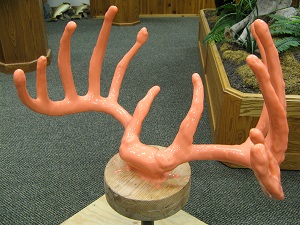10. Molding
