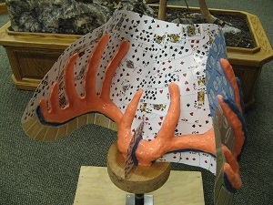 13. Carding Mold
