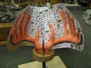 14. Carding Mold