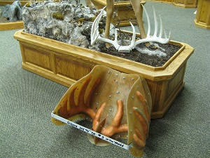 18. Completed Mold with Replica