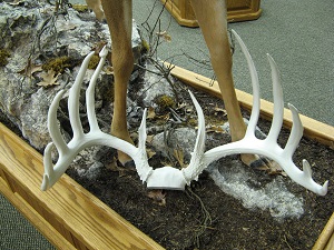 19. Poured Replica