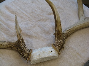 5. Skull Plate Prep