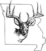 MSMBB Logo